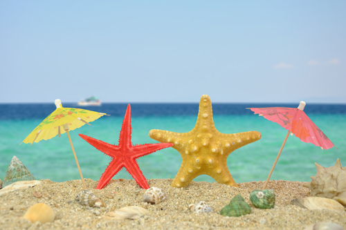 Two starfish under paper umbrellas on a beach